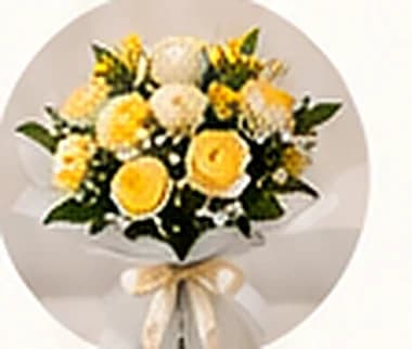 Congratulations Yellow Roses